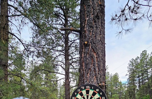 Jemez Springs Cabin | Tiny Home & Jemez Springs Spa