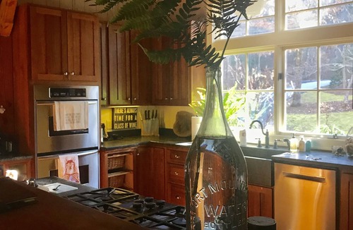Cashiers Cabin | Upscale modern rustic, close to everything-swim-hike-pickleball-canoe-waterfalls