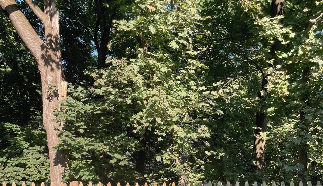 3 Bedroom - Hudson Valley House