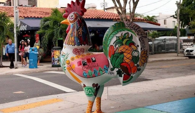 Amazing Experience in Calle Ocho