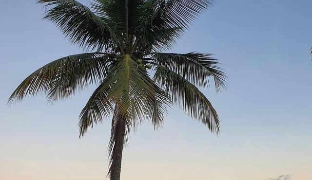 House to relax in the wonderful nature of Angra dos Reis