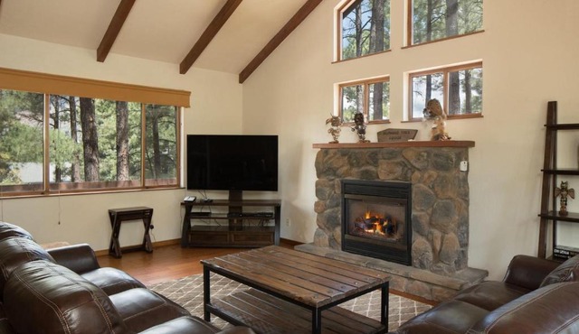 Burning Tree Lodge - Forest Views Fire Pit AC Pet and Family Friendly
