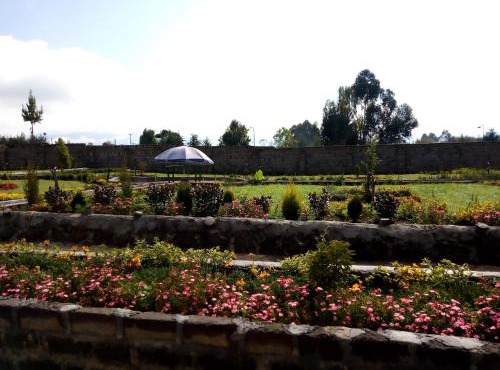 Camp John 511