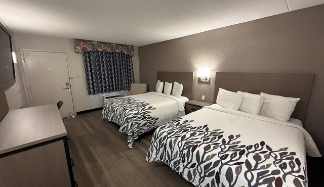 Four Deluxe 2 Queen Units—Bright, Comfortable & Ideal for Big Groups