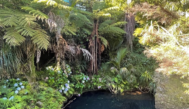 Magical river retreat with private swimming hole.