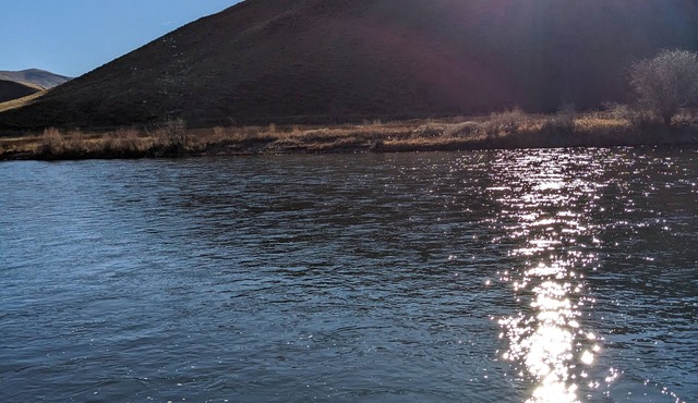 Salmon Riverfront Home Salmon, Challis & Gold Bug. Fishing from back yard.