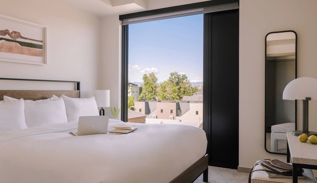 Sonder at Skyline | Superior One-Bedroom Apartment w/Mountain View