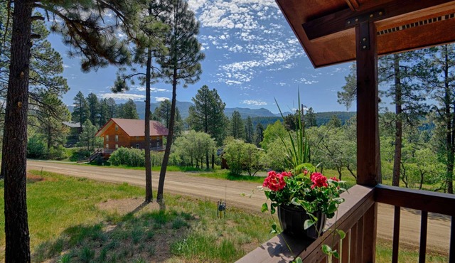 Tubing Promo! Wraparound Deck, Stunning Mountain Views, Near Downtown Pagosa & Wolf Creek Ski Area