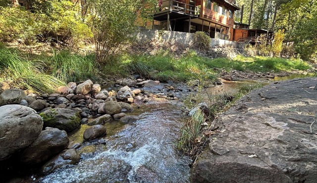 Waterfront luxurious midcentury Log cabin