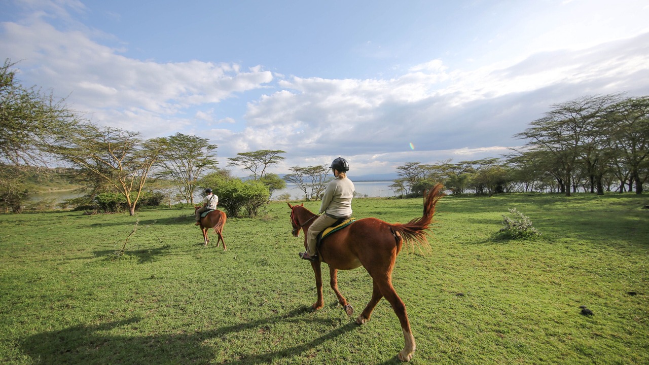 Photo of Others in Lake Elementaita