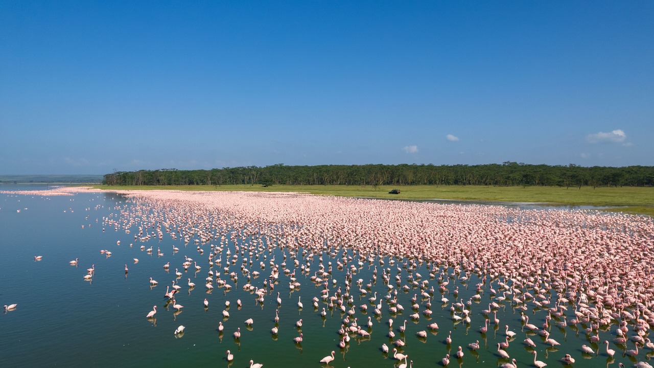 Photo of Outdoor in Lake Elementaita