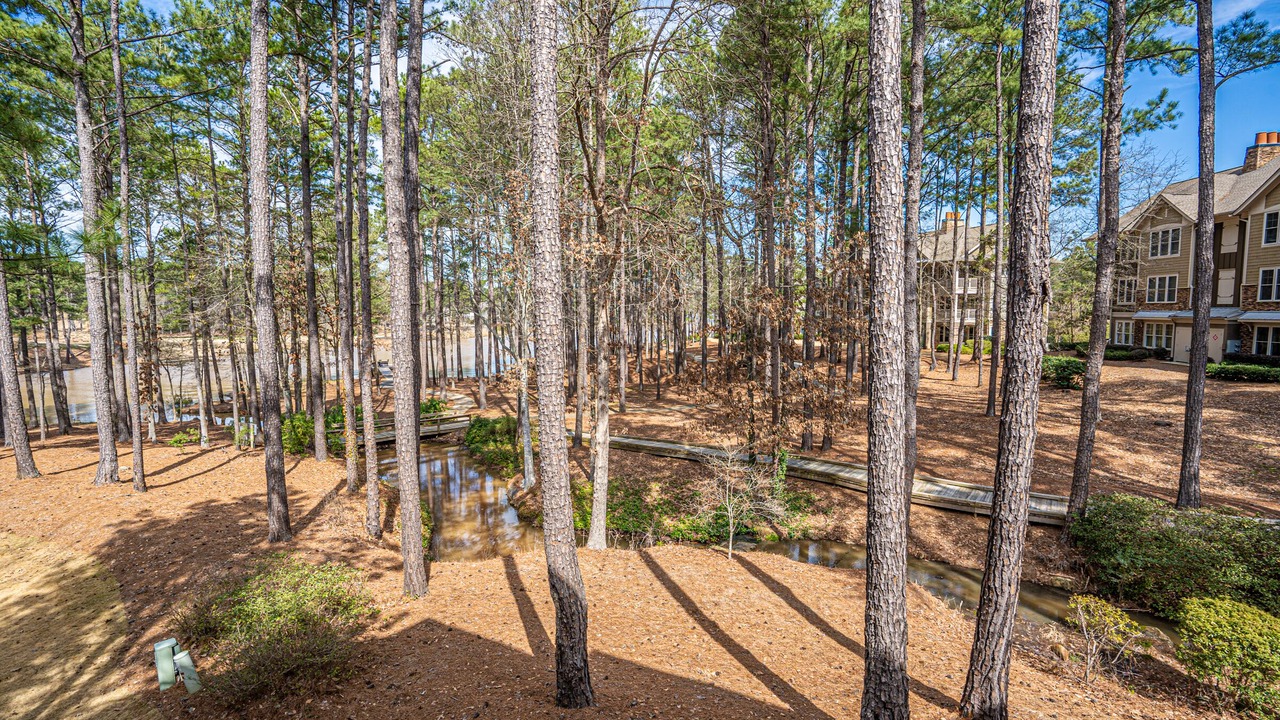 Photo of Outdoor in Greensboro